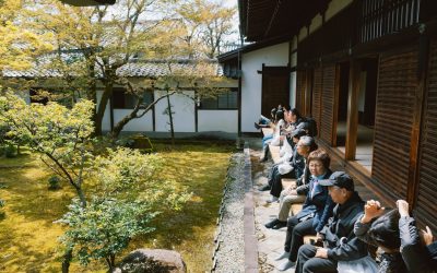 Desentrañando el Ketsueki-gata: La Fascinante Creencia de la Personalidad por Grupo Sanguíneo