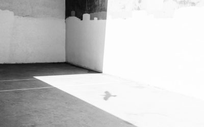 Dominando el Swing Trading: Una Estrategia Rentable para el Mercado Actual (Febrero 2026)