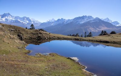 Grupos Sanguíneos y Salud: Desvelando la Ciencia Detrás de Tu Sangre