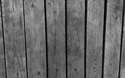 Scalping en Futuros: La Estrategia de Alta Frecuencia para Maximizar Ganancias en 2026 📈