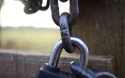 Arbitraje de Criptomonedas: Aprovecha las Diferencias de Precio para Obtener Ganancias 📈