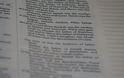 Arbitraje de Criptomonedas: Una Estrategia para Generar Ganancias en 2026