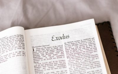 Compatibilidad Astrológica: Descifrando las Conexiones del Amor en 2026 💖