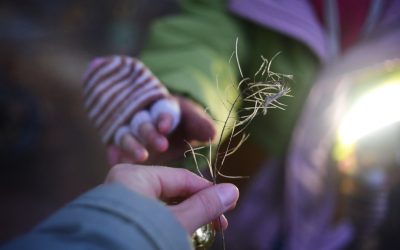 Compatibilidad Astrológica: Descifrando las Relaciones a Través de los Signos del Zodíaco ✨