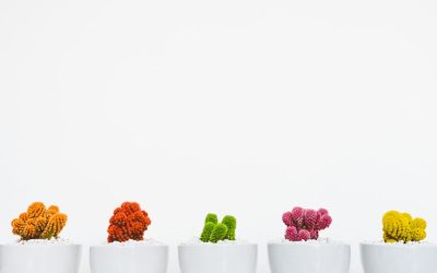 Explorando el Mundo Bocado a Bocado: Tu Guía Definitiva para Viajes Gastronómicos Inolvidables