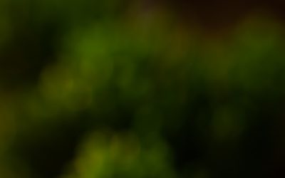 Grupos Sanguíneos: Entre el Mito y la Ciencia – Lo que Realmente Necesitas Saber