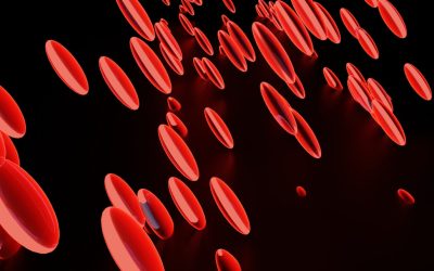 La Fascinación por los Tipos de Sangre y la Personalidad: ¿Mito o Realidad?