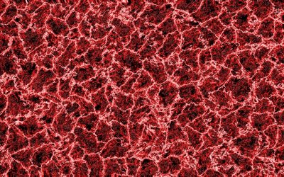 Más Allá de la Ciencia: La Fascinante Cultura de la Personalidad por Tipo de Sangre en Japón y Corea 🩸