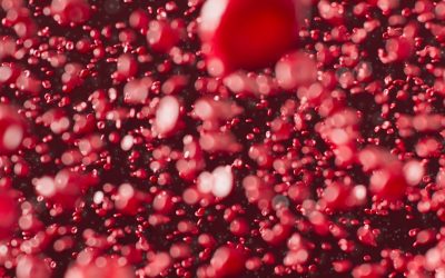 Descifrando los Misterios de la Personalidad y los Tipos de Sangre: ¿Mito o Realidad?