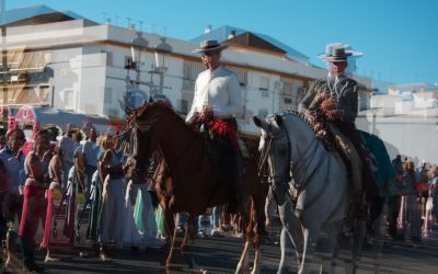 Grupos Sanguíneos: Desmontando Mitos, Descubriendo Avances y su Impacto Real en Nuestra Salud (Mayo 2026)