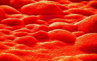 Tipos de Sangre y Personalidad: Desvelando el Mito Científico y la Realidad Médica