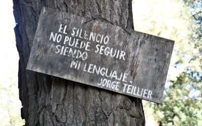 ¿Dice tu Grupo Sanguíneo Algo sobre tu Personalidad? Explorando el Ketsueki-gata