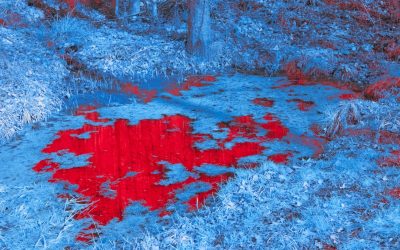 La Influencia Cultural de los Tipos de Sangre en la Compatibilidad de Pareja: ¿Mito o Realidad?