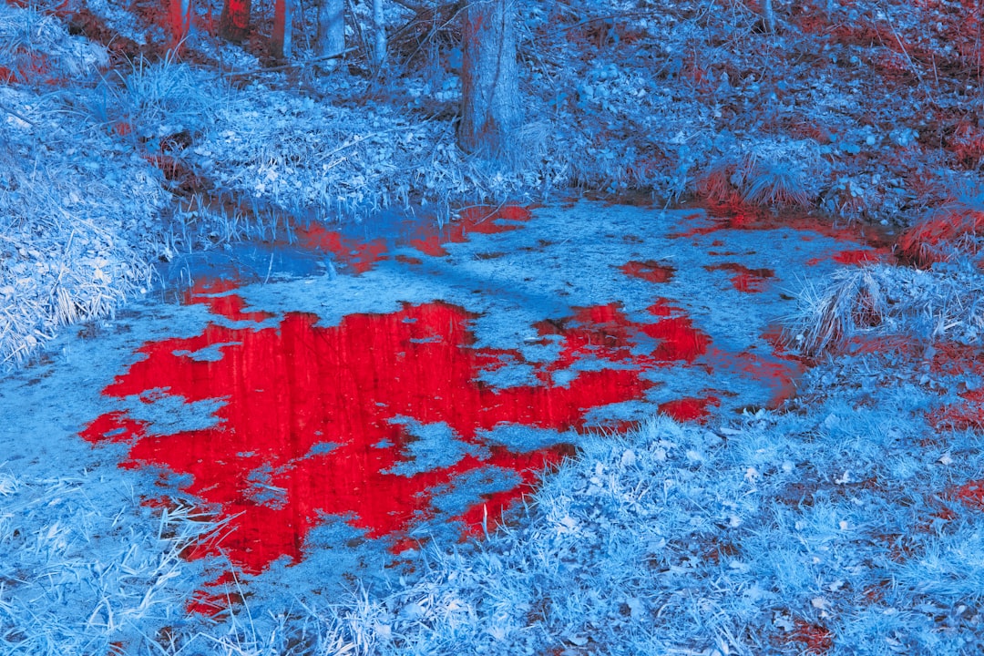 la-influencia-cultural-de-los-tipos-de-sangre-en-la-compatibilidad-de-pareja-mito-o-realidad-1785089681279