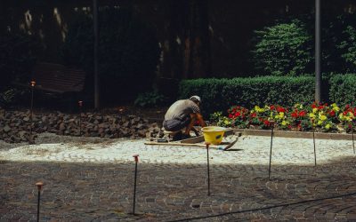 Domina el Day Trading: Una Estrategia de Inversión Dinámica para el 2026