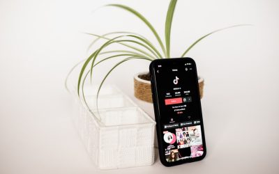 Guía Esencial para Convertirse en un Influencer Exitoso en Redes Sociales en 2026: TikTok e Instagram como Claves