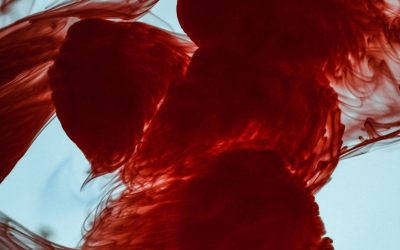 Tipos de Sangre y Personalidad: ¿Mito o Realidad Científica en el Amor y Más Allá?