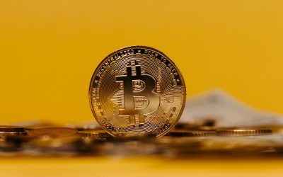 Transforma tu Pasión en Ganancias: La Guía Definitiva del Blog Monetizado con WordPress en 2026