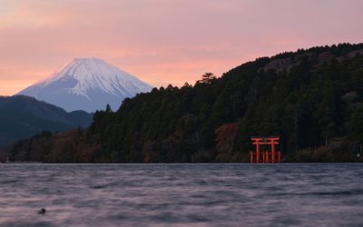 Japón: Un Viaje Inolvidable por sus Paisajes y Delicias Culinarias en 2026